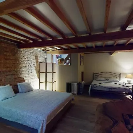 Apartament Loft Rustique Avec Vaste Sejour Et 6 Chambres