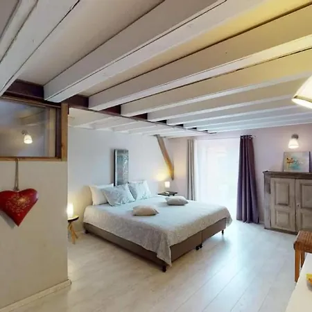 Loft Rustique Avec Vaste Sejour Et 6 Chambres Apartament Profondeville